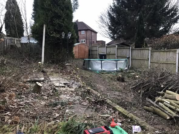 Cheddleton garden after heavy clearance, with bare ground, cut branches and the boundary visible